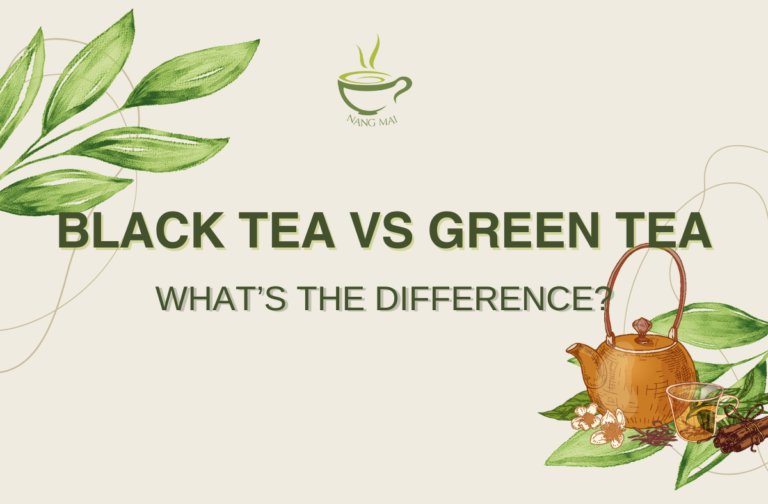 Black Tea vs Green Tea: What’s the difference?