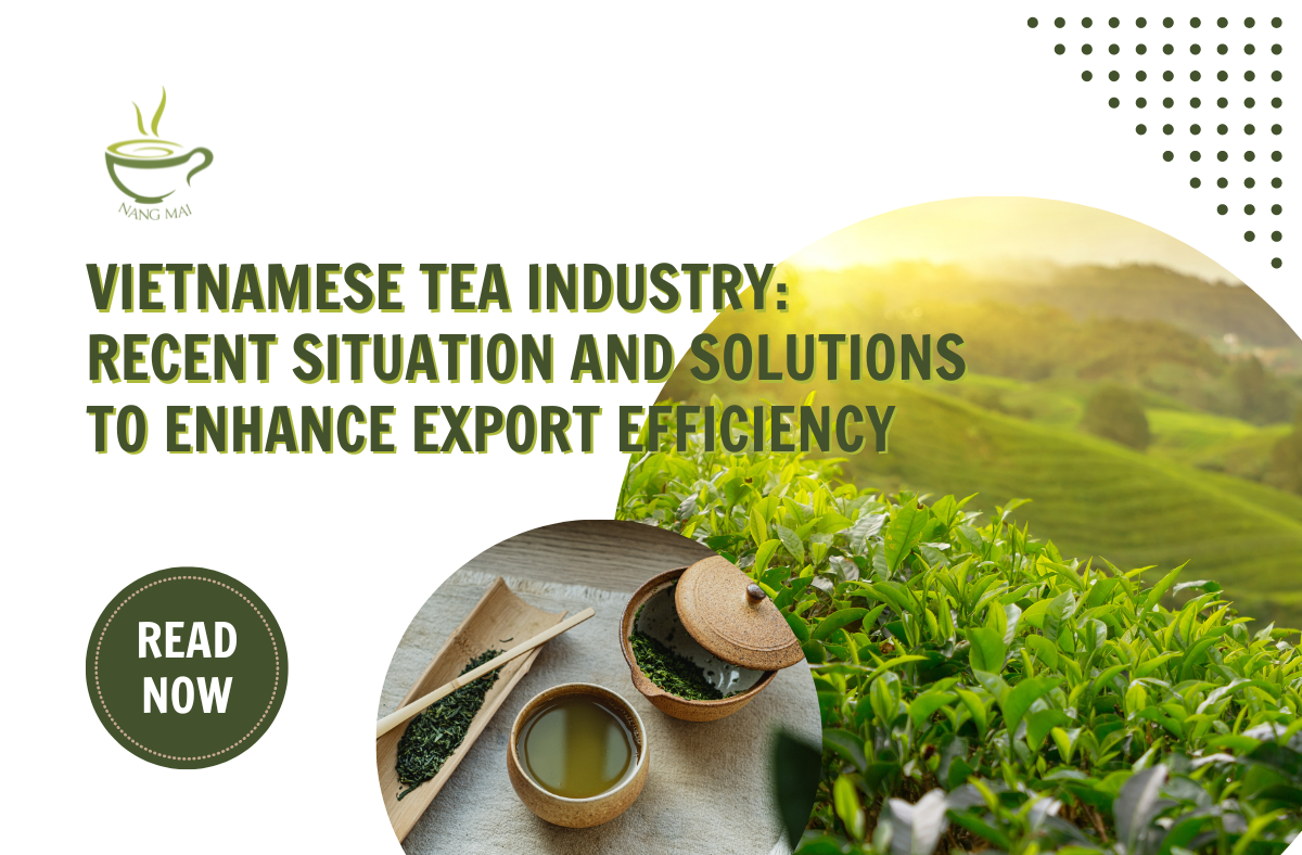 vietnamese-tea-industry-current-situation-and-solutions-to-enhance-export-efficiency