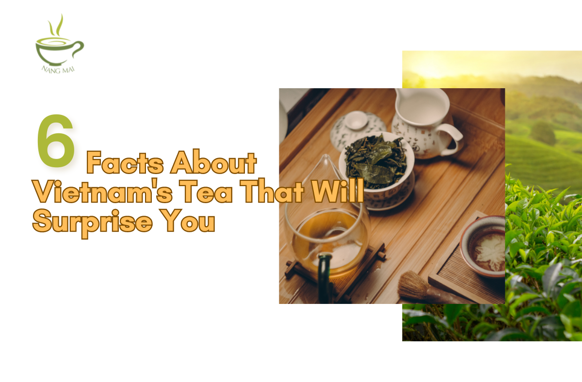 facts-about-vietnam-tea