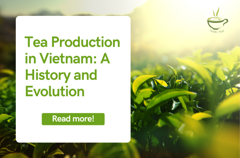 Tea Production in Vietnam: A History and Evolution